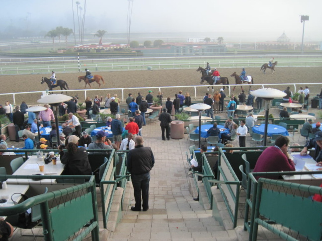 Breeders' Cup