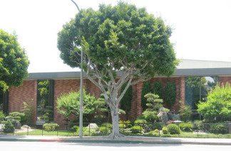 Culver City's Julian Dixon Library will be affected by schedule changes. File photo.