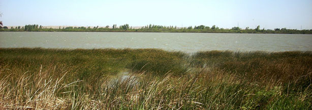 On the eastern San Francisco Bay, May 28, 2009.