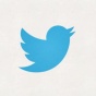 twitter bird