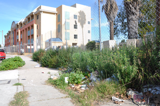 Los Angeles city officials announce that the long-stalled Marlton Square project in Baldwin Hills, Calif., is now out of bankruptcy. Officials touted it as a positive sign while some residents are skeptical that plans will go through as promised.