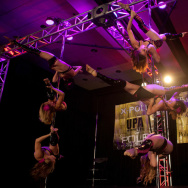 Pole Dancing Convention
