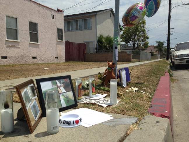 HAWTHORNE DOG SHOOTING