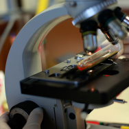 Flu Virus Analysis