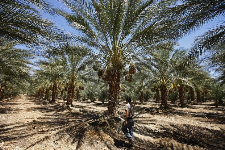Water Issues in the Coachella Valley