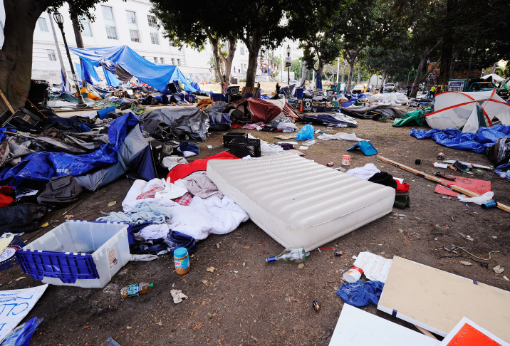 Los Angeles Police Move In To Evict Occupy LA Encampment