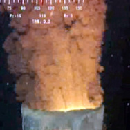 Mercer 8566
