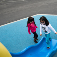Transitional Kindergarten - 1