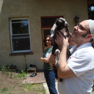 Institute of Domestic Technology instructor Stephen Rudicel holds Poppyseed the goat