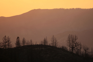 File photo: A charred landscape is left in the wake of the 250 square mile Station fire in the San Gabriel Mountains on September 16, 2009 in the Angeles National Forest, northeast of Los Angeles, California.