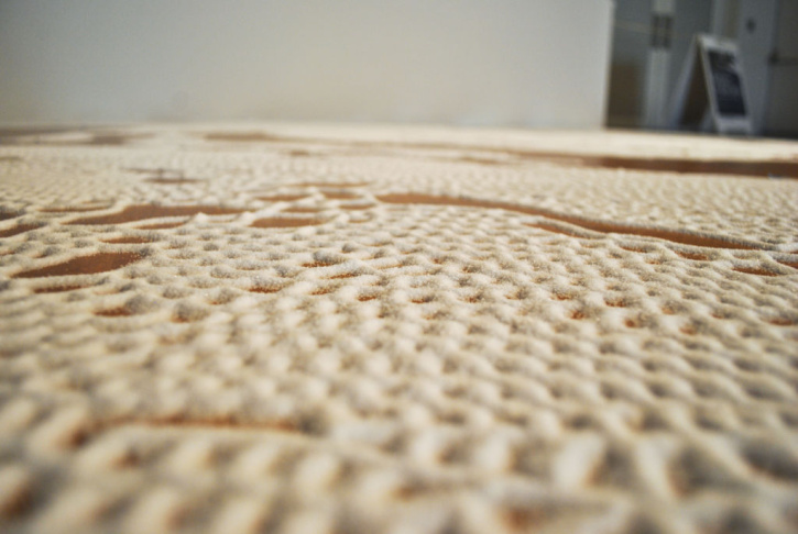 Motoi Yamamoto Salt Art 10