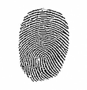 fingerprint