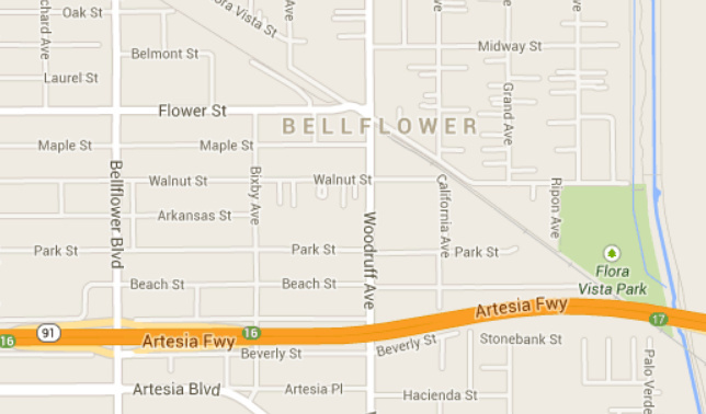 91 bellflower