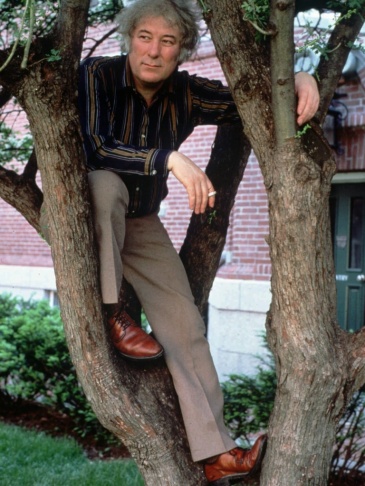 Poet Seamus Heaney, who won the Nobel Prize in literature in 1995, is seen here in a file photo from 1991, when he was a professor at Harvard. Heaney has died at age 74.