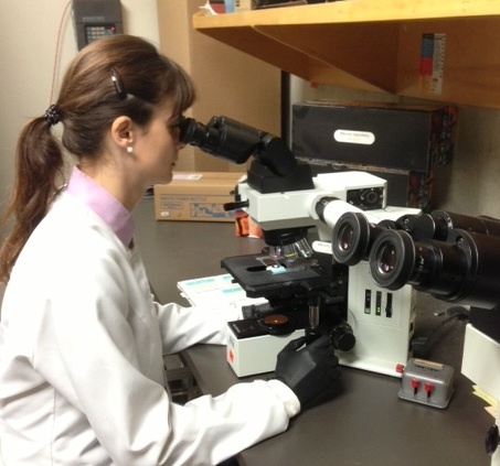 A researcher at studies brain cells