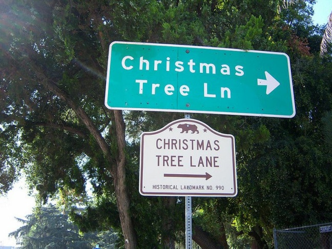 christmas tree lane