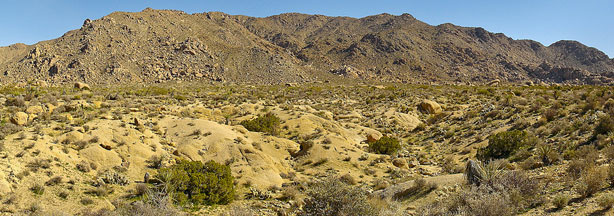 File photo: Eagle Mountain in Joshua Tree