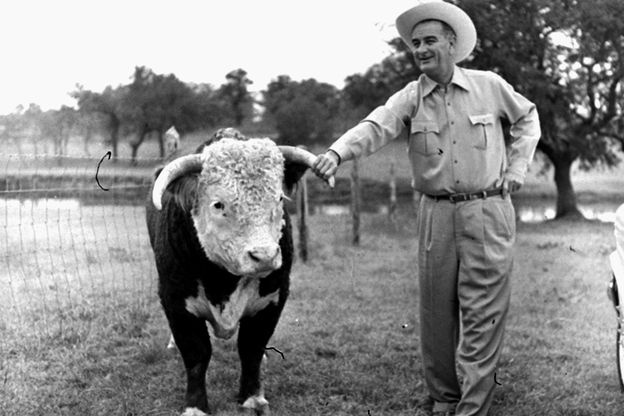 Lyndon Johnson, then the vice president-elect, with a prize-winning Hereford bull on his ranch near Johnson City, Texas, in 1960. Linguists say the twang that has long been synonymous with Texans is fading.