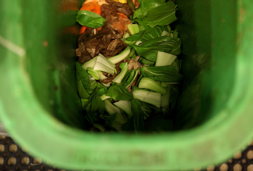San Francisco Leads Nation In Organized Drive To Compost City Waste