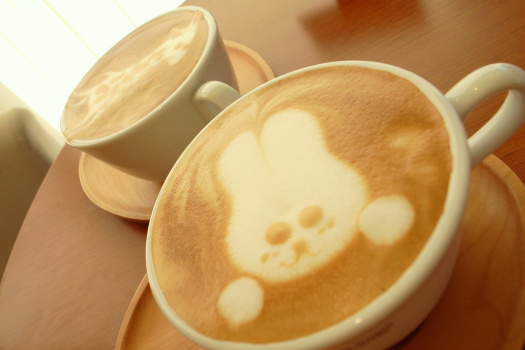 Rabbit Cappuccino