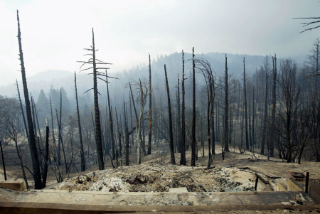 Wildfires Arson Murder