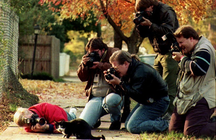 Photographers surround Socks, the cat who belongs