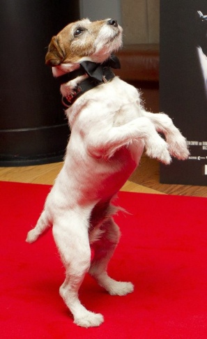 Uggie