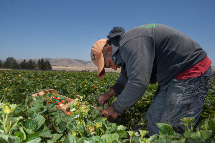 Farm workers
