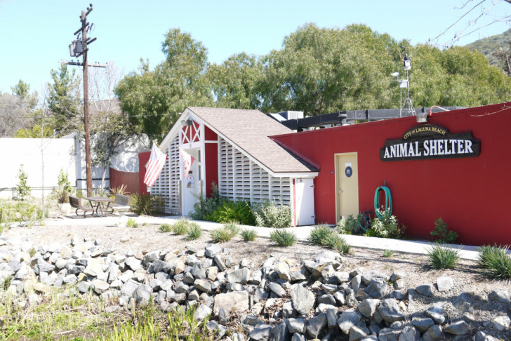 Sea Lion Rescue Center