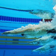 Olympic Swimmers