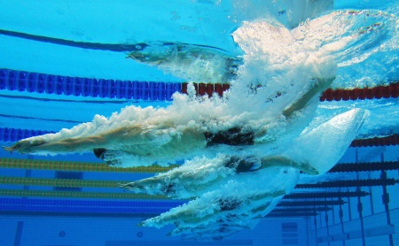 Olympic Swimmers