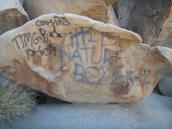Joshua Tree