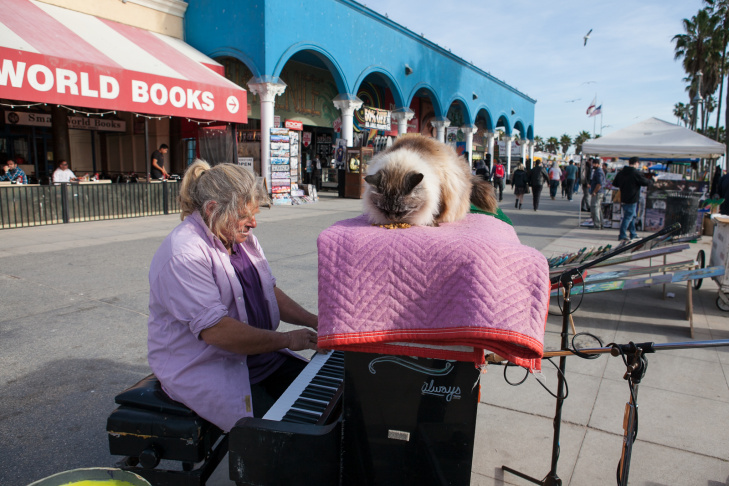 Venice Boardwalk Piano Player - 12