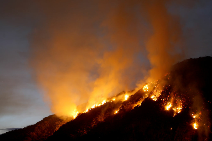 Williams Fire Burns In The Angeles National Forest