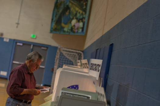Presidential Primary Election