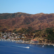File picture dated May 17, 2008, of Aval