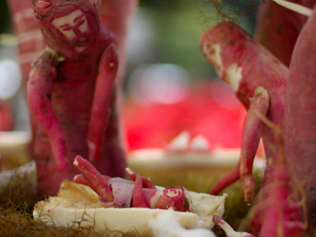 radish people