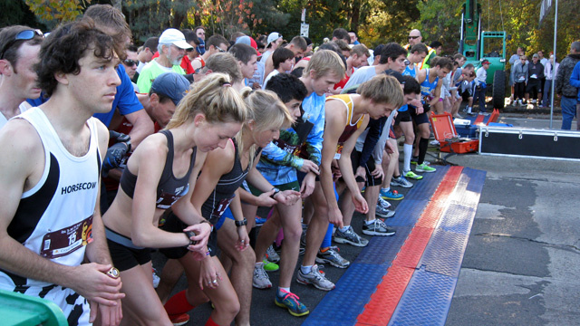 Turkey Trot CA Report
