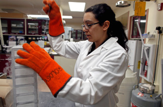 Associate research specialist at the Wisconsin National Primate Research Center at University Wisconsin-Madison removes a new batch of Embryonic Stem Cells from deep freeze to be thawed before being worked on.