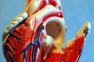 More than one million Americans a year get cardiac catheterizations.