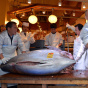 JAPAN-LIFESTYLE-FISHING-AUCTION-NEW YEAR