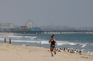 Santa Monica beach
