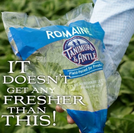 romaine lettuce recall