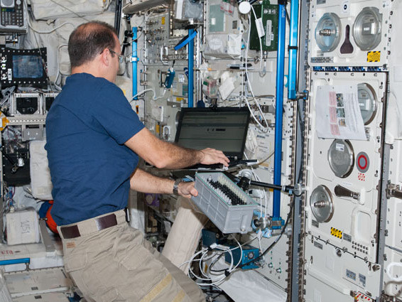 Flight Engineer Rick Mastracchio on in the International Space Station's Columbus lab last month.