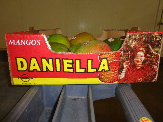 Splendid Products voluntarily recalled certain Daniella Brand mangos in August 2012