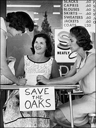 Fifty years ago, if you had an issue you wanted to fight for, you set up a card table and asked people for signatures on a petition, like the Chatsworth Junior Women's Club did to save oak trees in 1964. Today, the petitions are online - but are they more convincing?