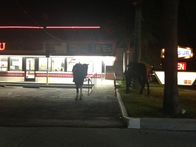 Compton horses