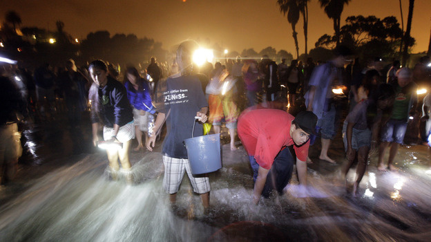 Late at night, under the full and new moons, thousands of tiny, silvery grunion fish swim to shore for a very peculiar mating ritual, the grunion run.
