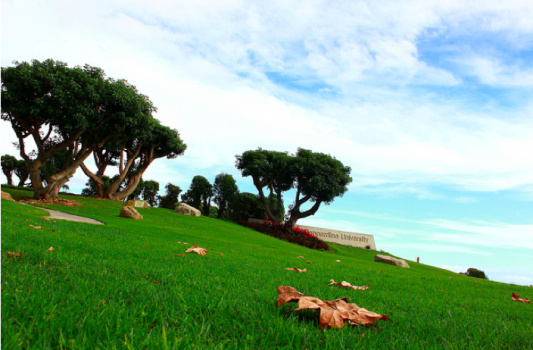 Pepperdine University