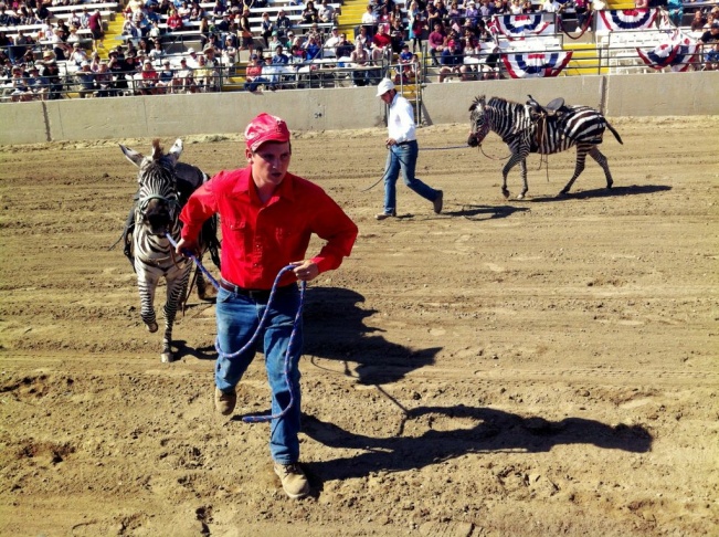 Riverside County Fair